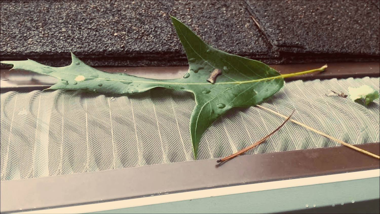 Professional leaf guard installation by Royal Gutter Guard in Oregon and Washington